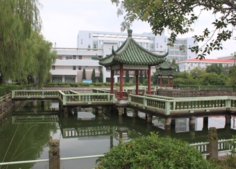 环境1