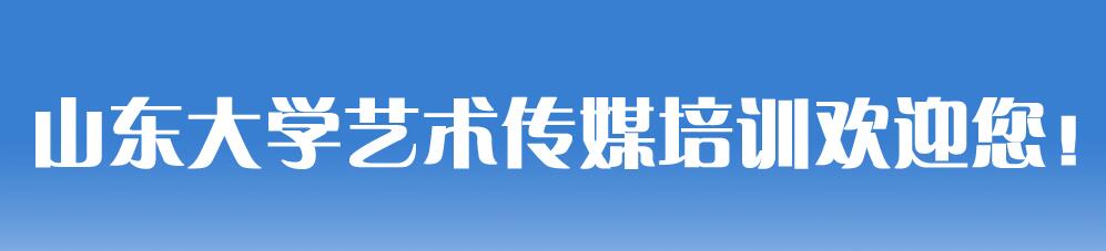 山东大学艺术传媒培训